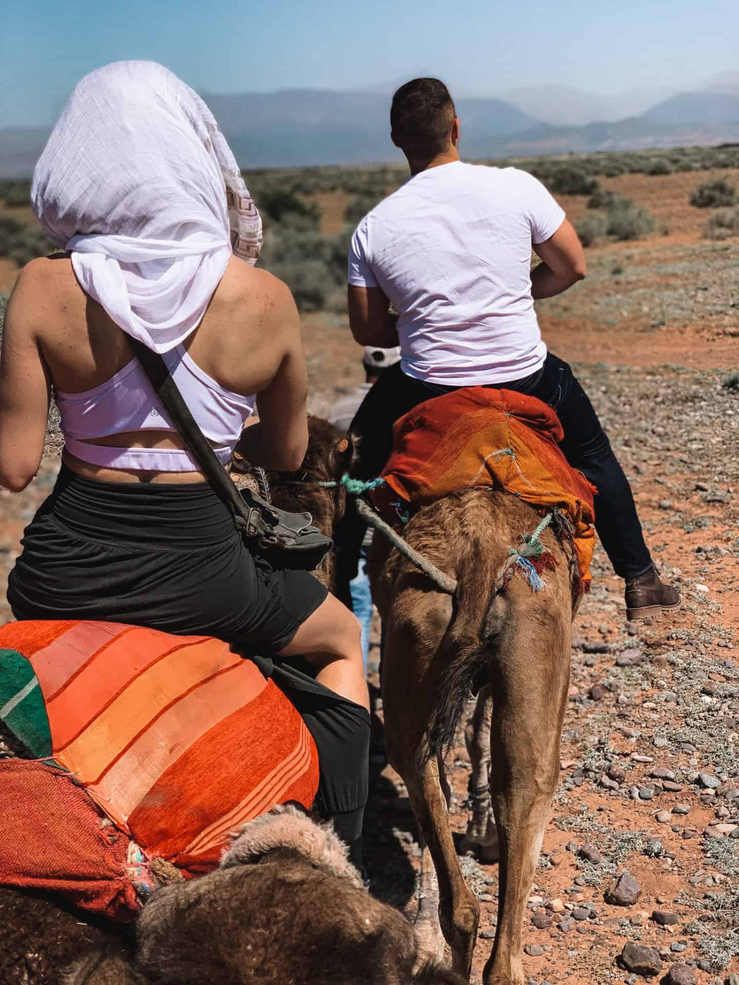 A couple riding camels in Morocco