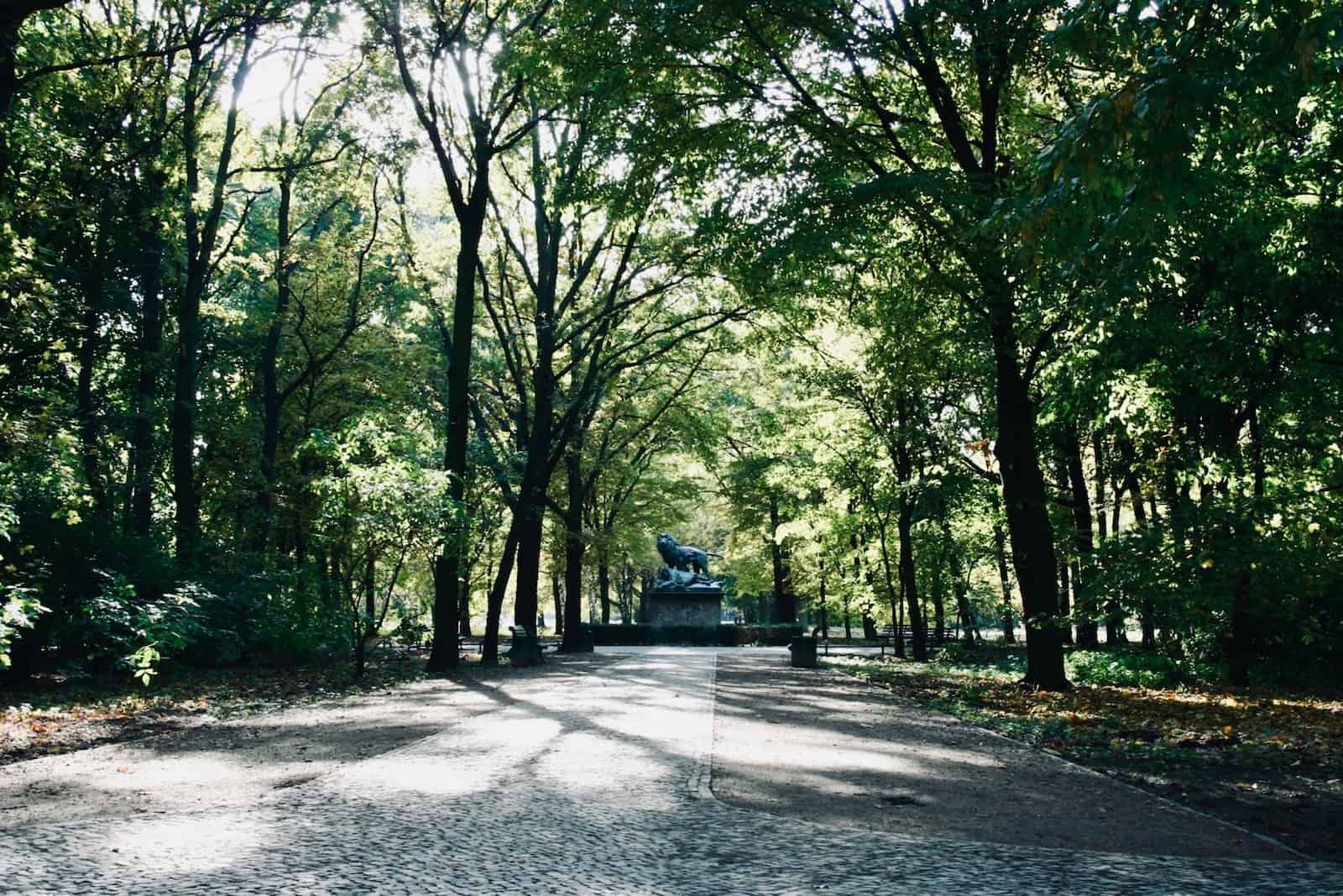 black car on road between green trees during daytime