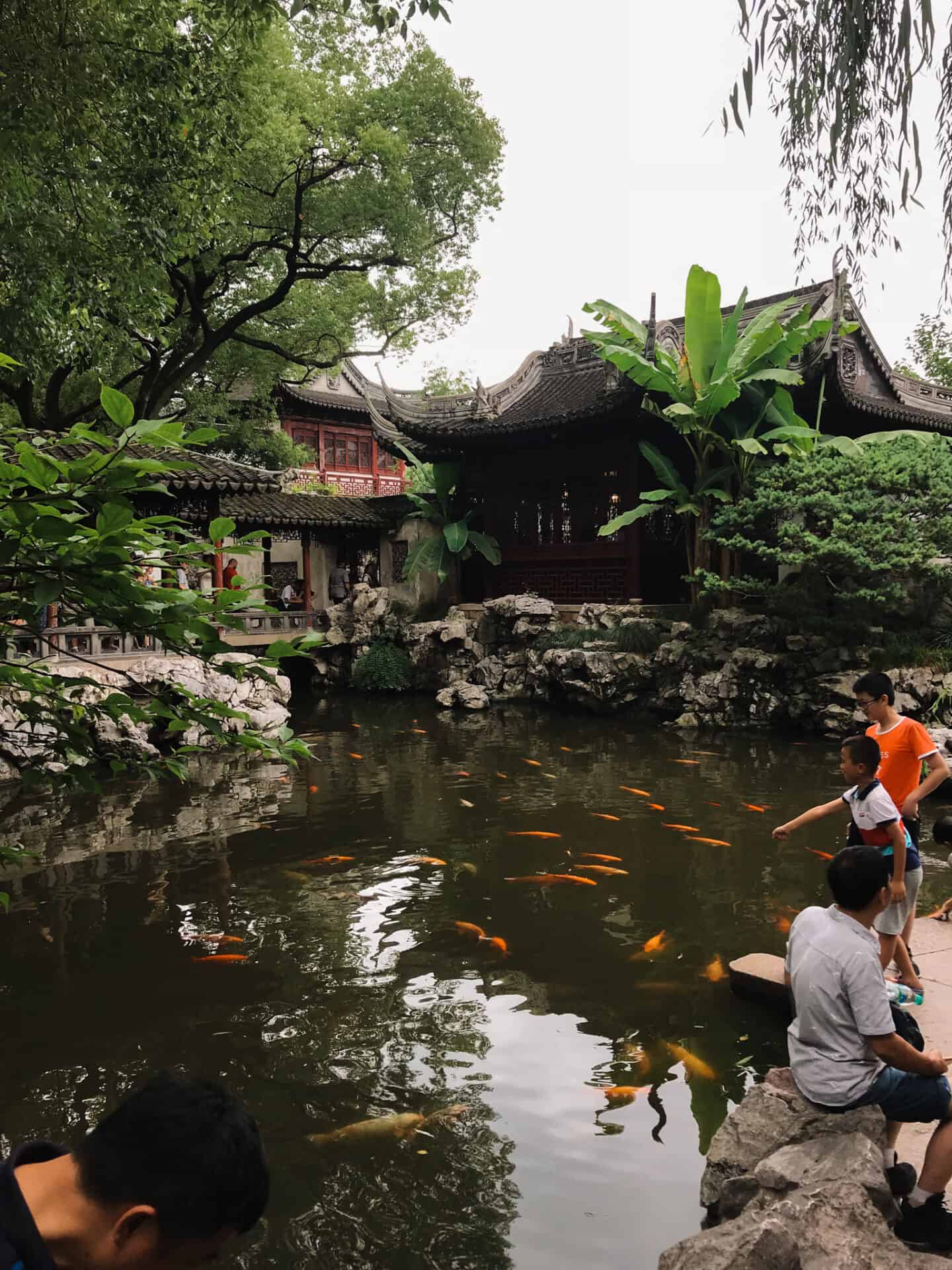 Pond with orange fish in Chenghuang Temple
