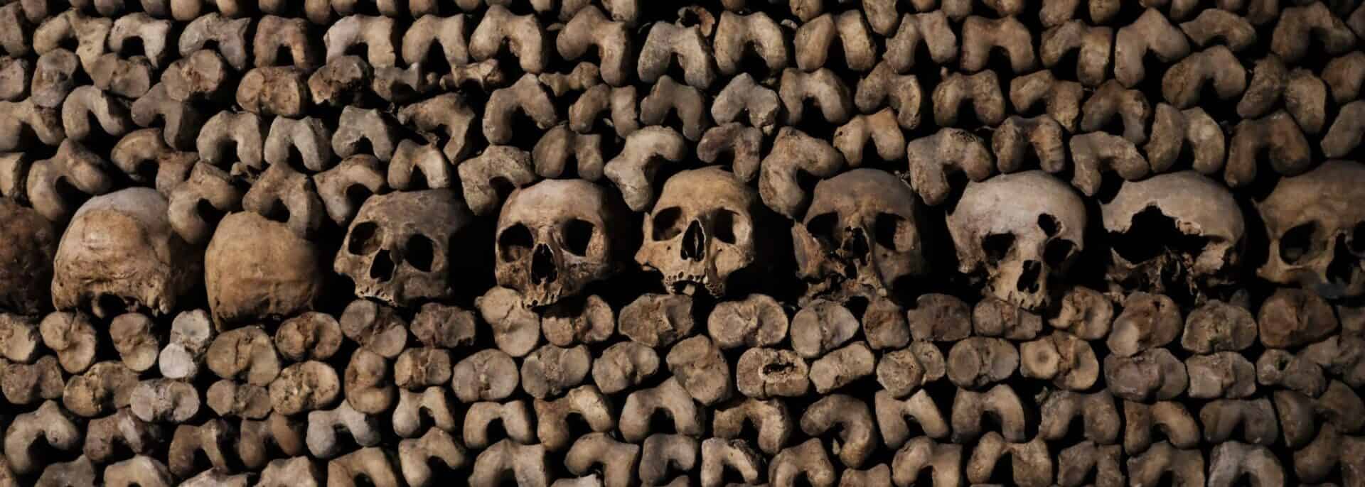 Skulls and bones in Catacombs in Palermo