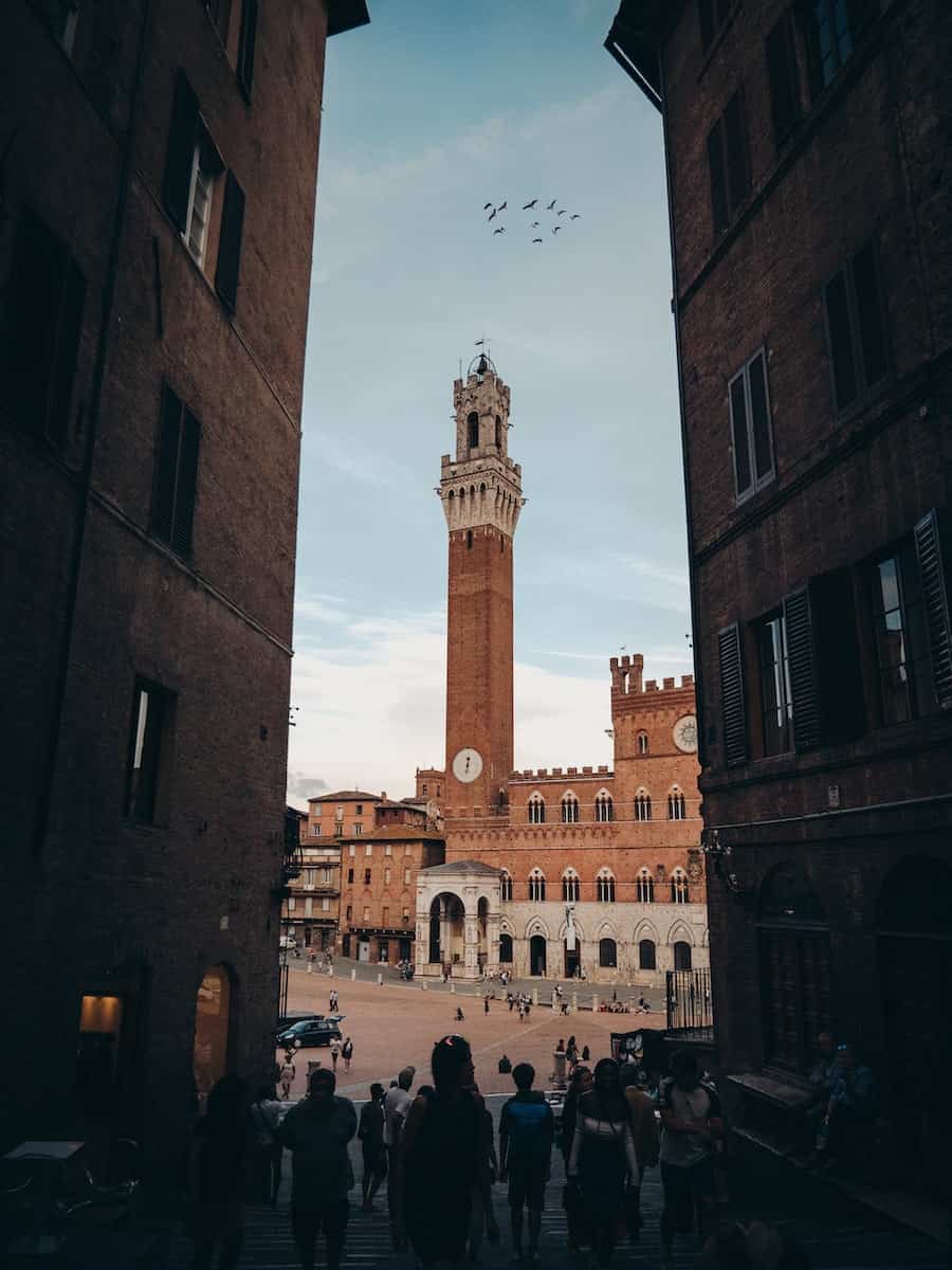 Tower in siena Italy main square