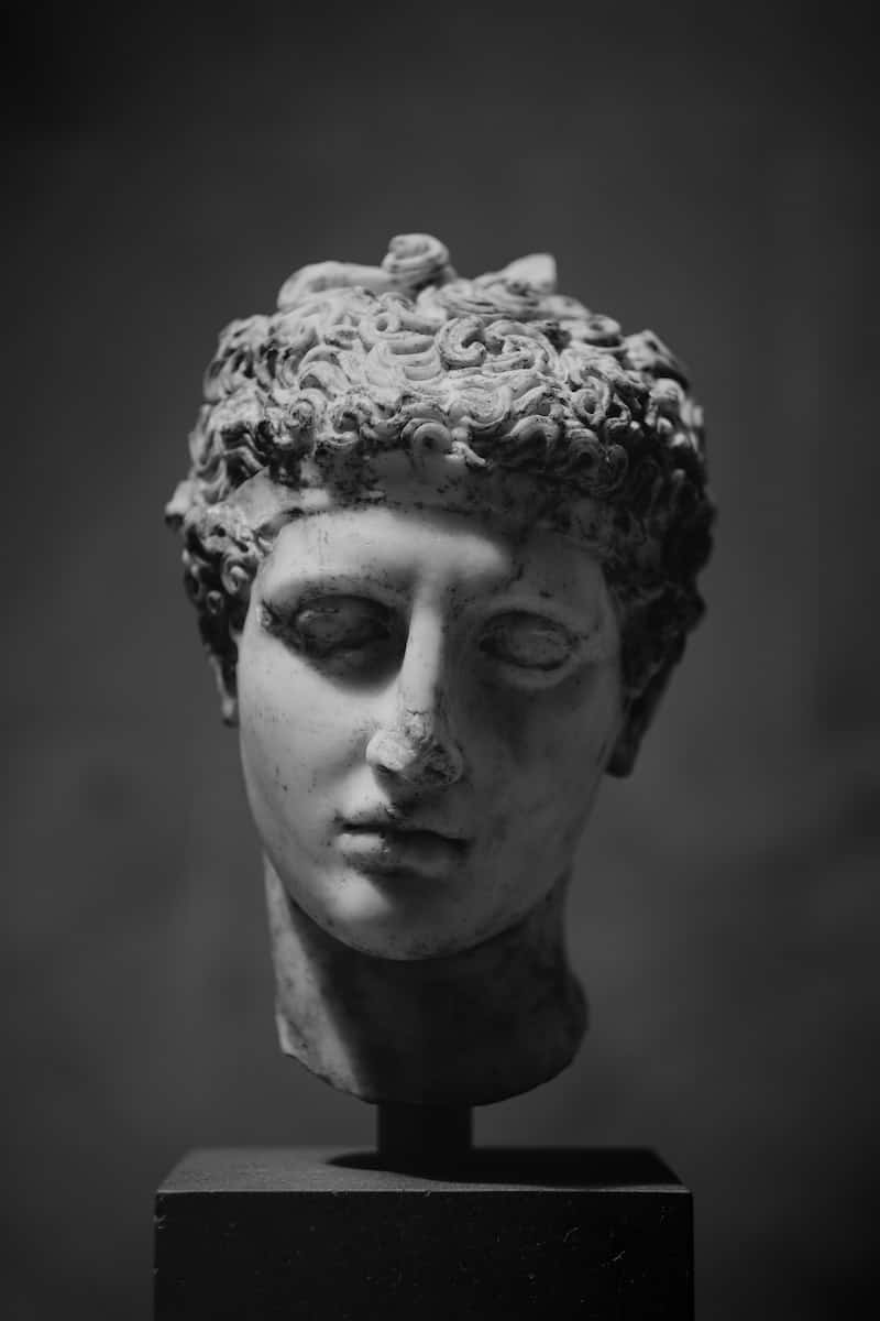 gray scale statue of greek man face