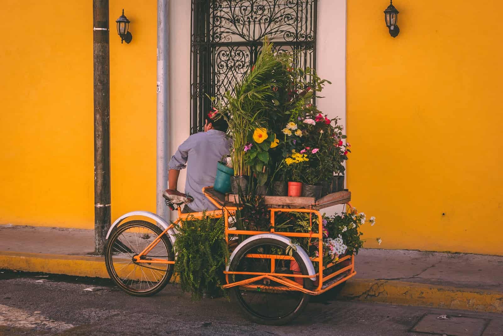 Mexican man standing near yellow building with pots of flowers