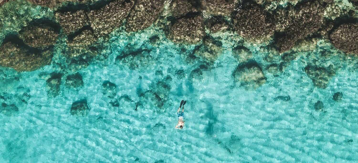 Man snorkeling in the clear waters of Aruba during summer