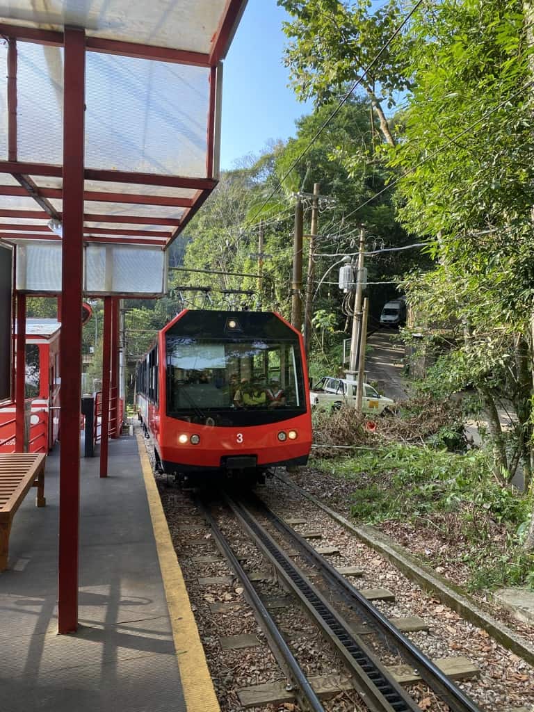 red cog train waiting at station in woods