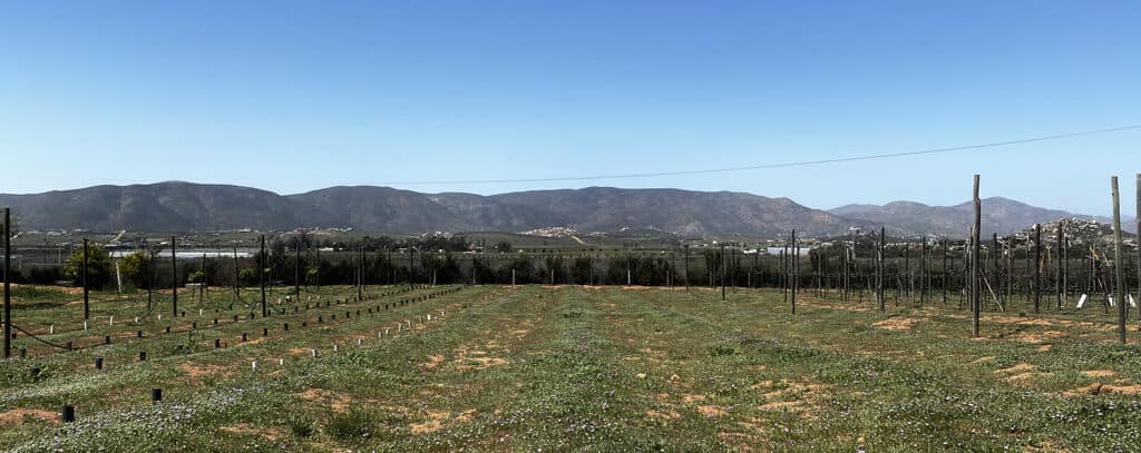 view of mexican green mountains under blue sky