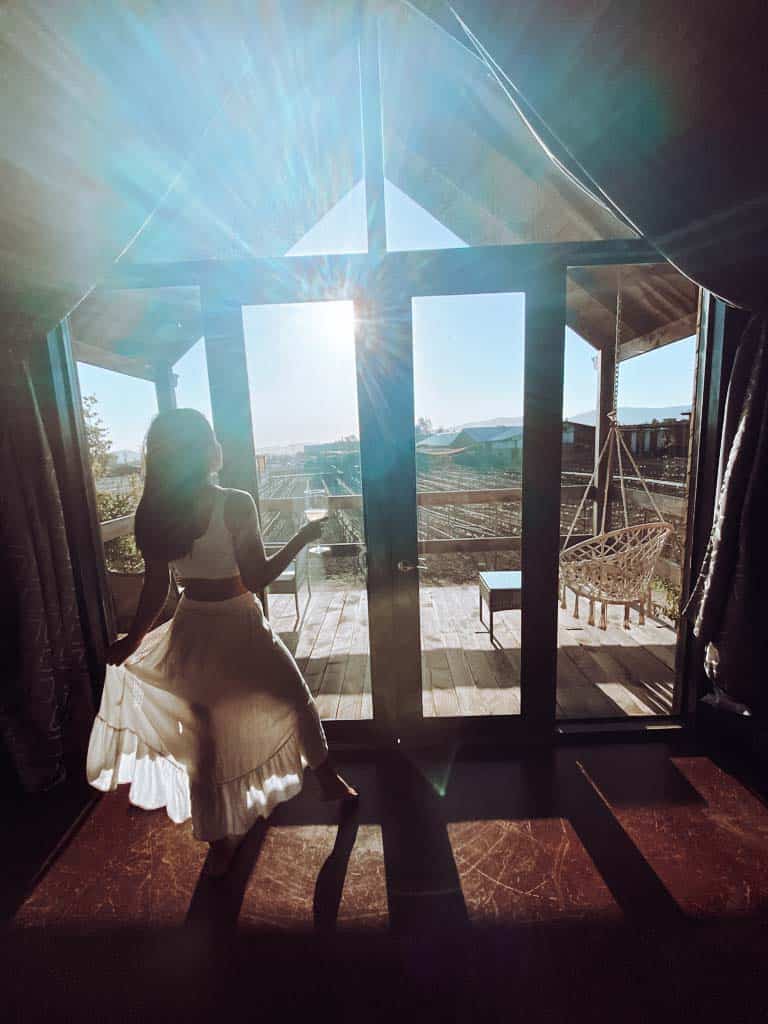 silhouette of woman in front of glass door holding wine