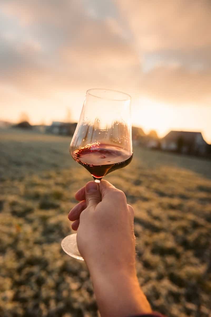 hand in vineyard holding long-stem wine glass filled with liquid