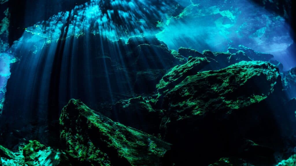 underwater shot of dark blue cenote waters