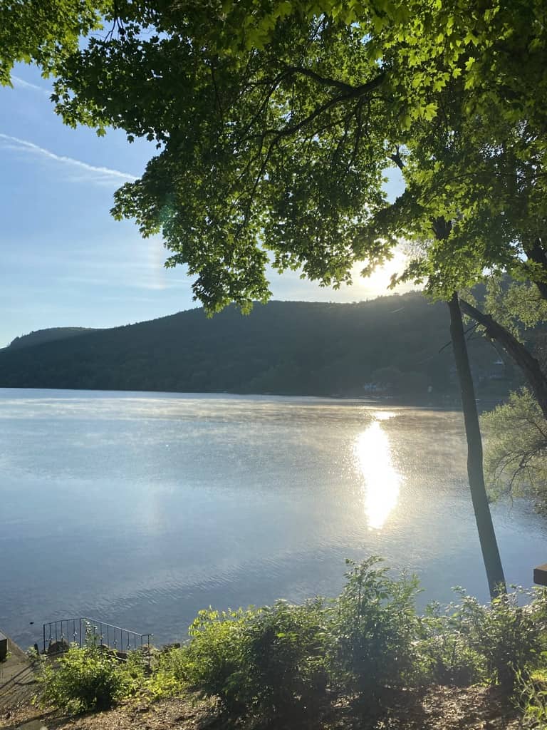 Sun shining over lake and tree with green leaves