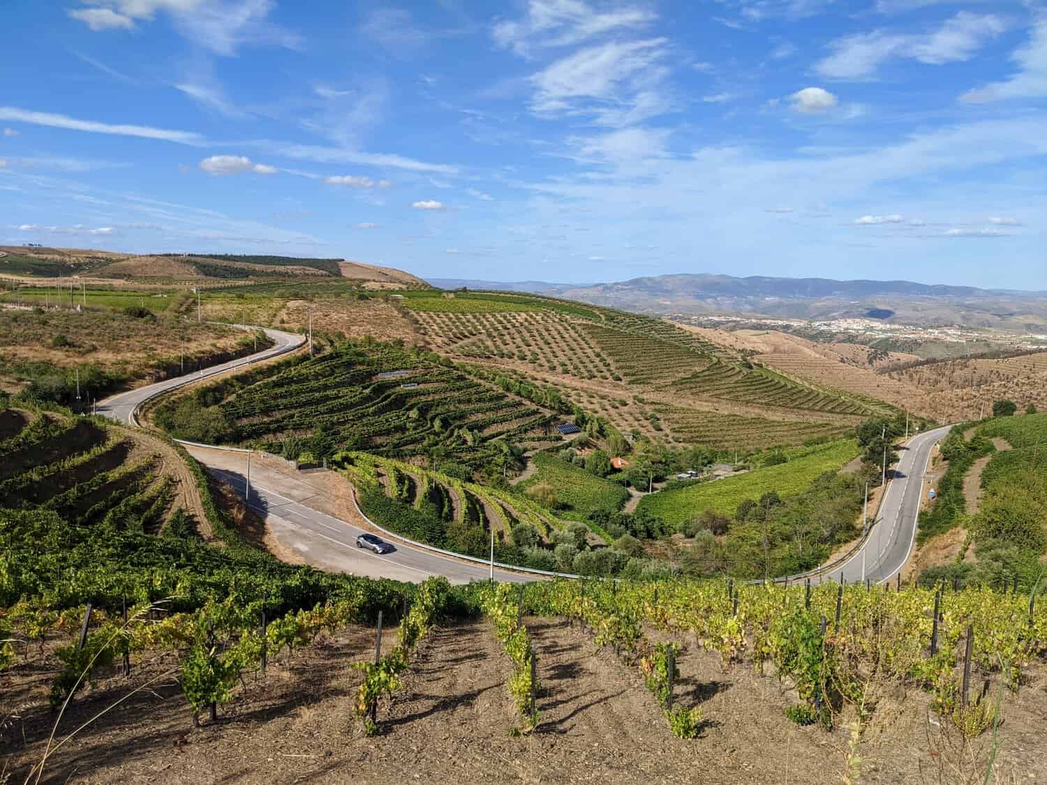 Windy road in hilly wine country