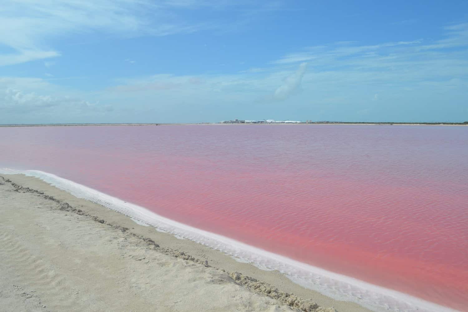 Pink water in lake next to golden sand