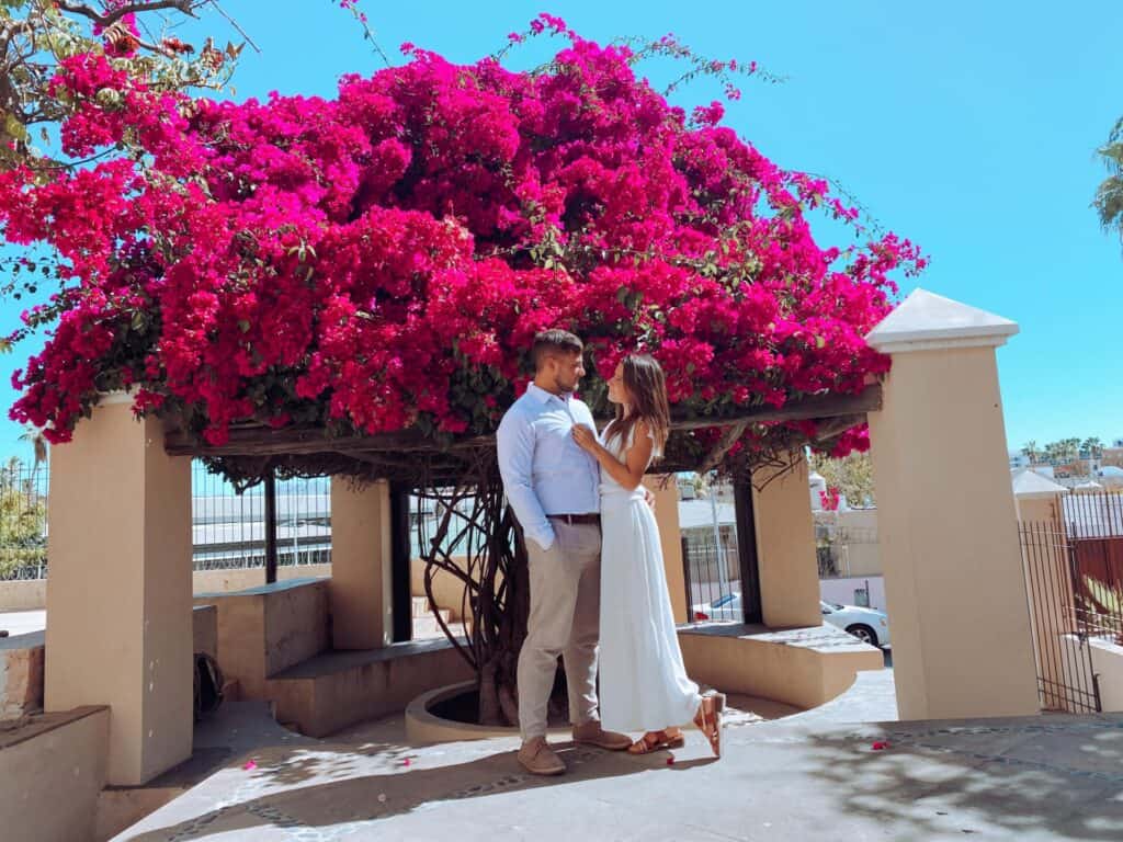 man and woman in their sunday best cuddling under bright pink floral tree