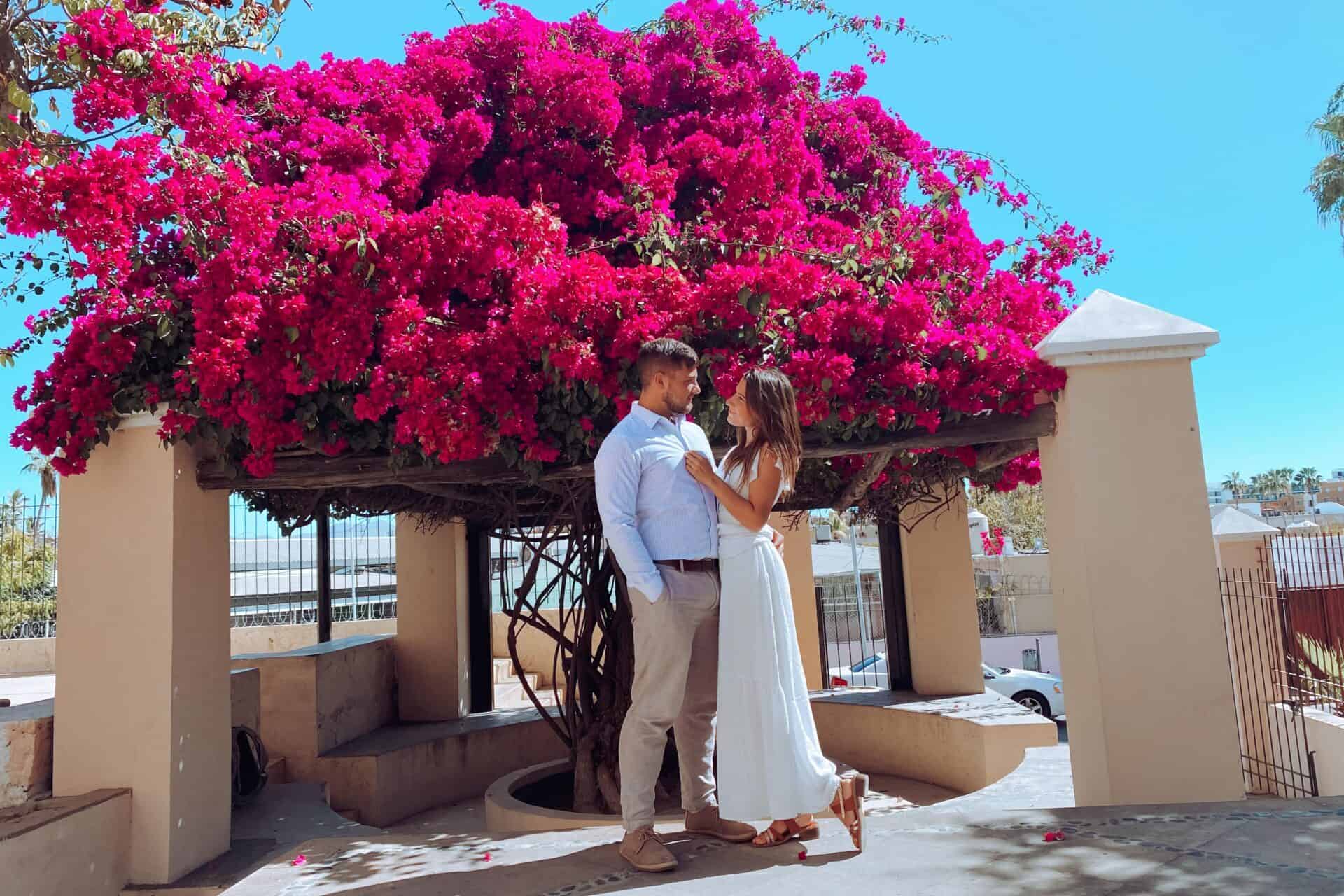 man and woman in their sunday best cuddling under bright pink floral tree