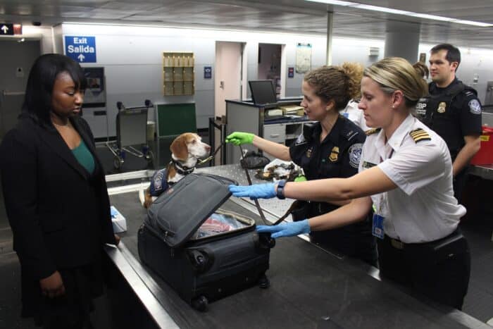 Customs agents searching black suitcase in United States Airport