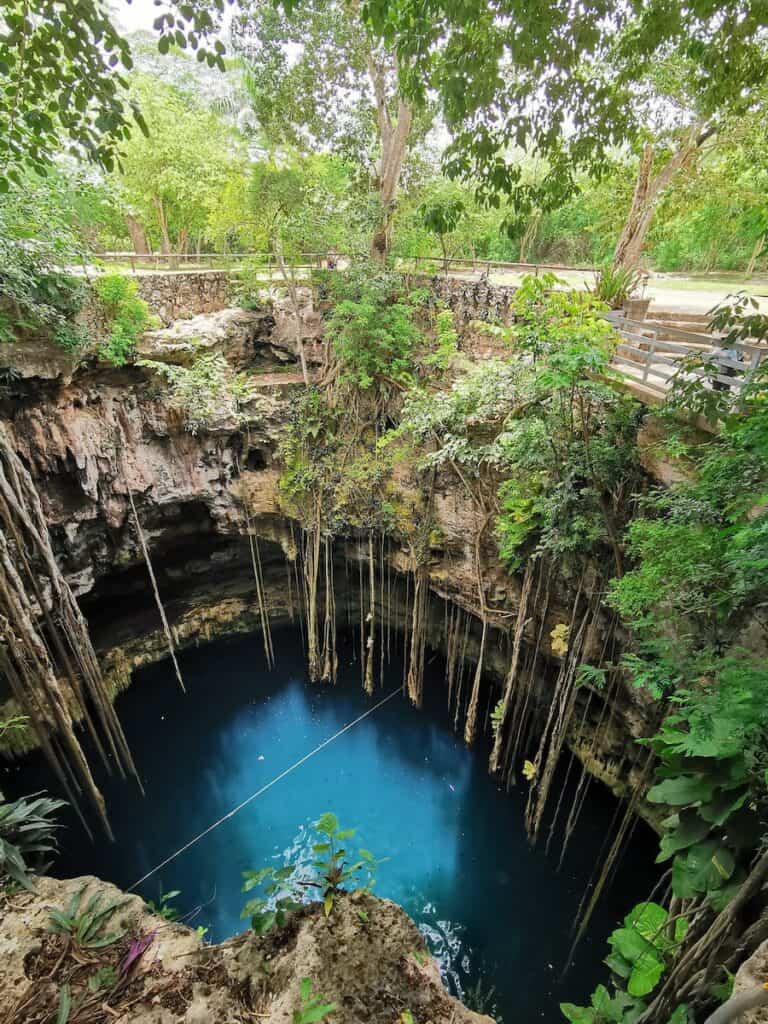 large cenote hole in the earth with huge vines hanging into the water