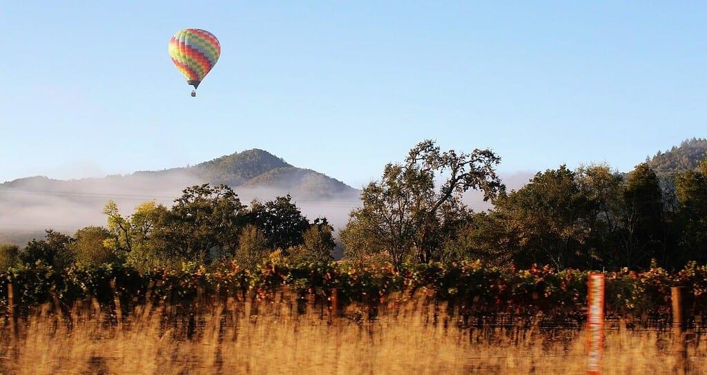 hot air balloon over yellow field in napa valley