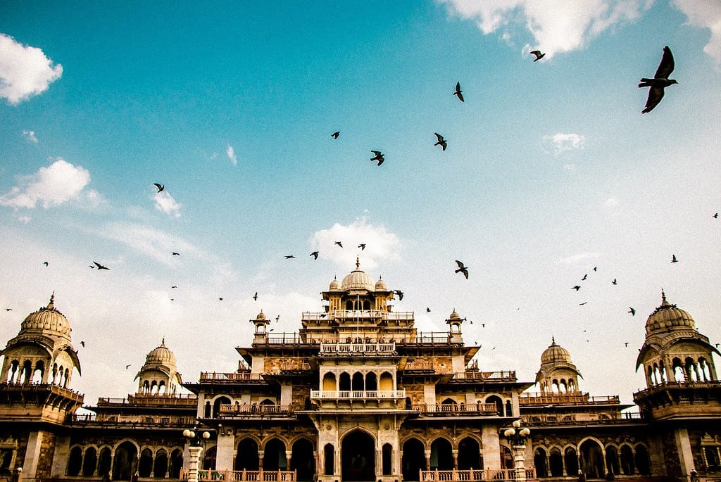 birds near hindu temple in jaipur