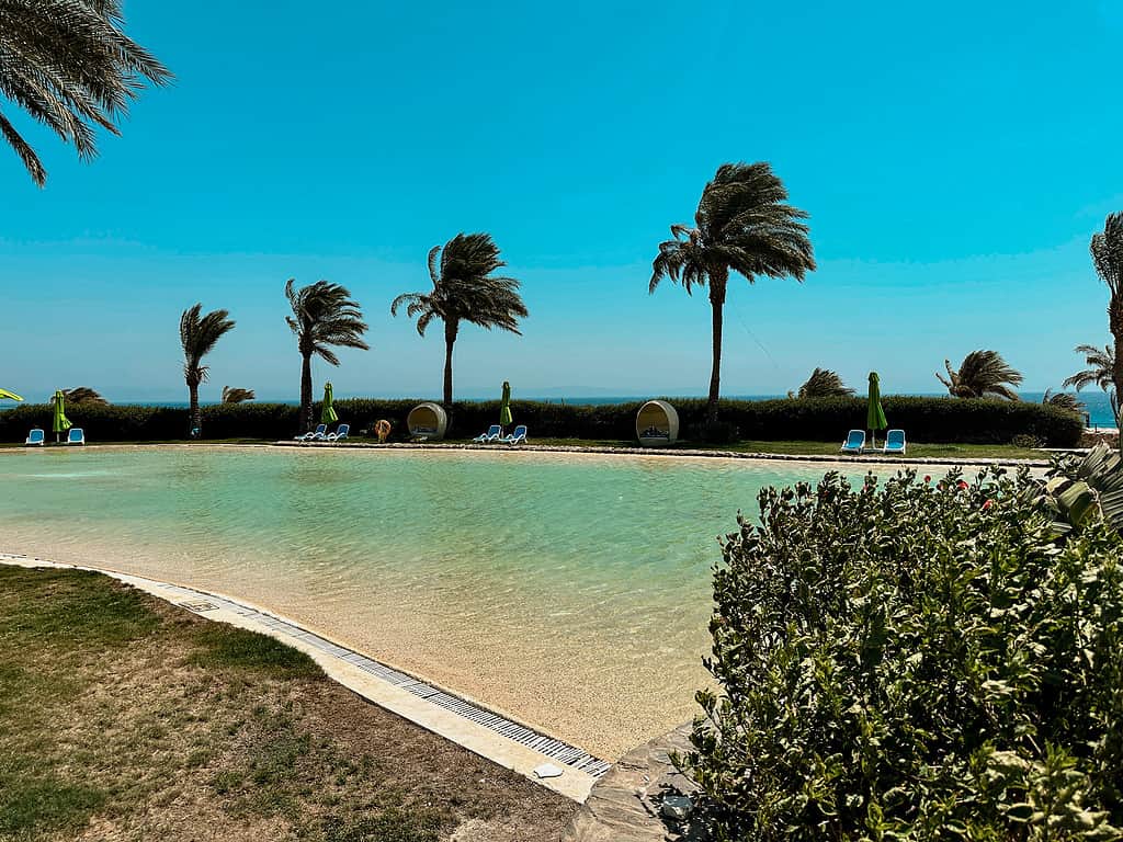 salt water pool with shades of green surrounded by palm trees